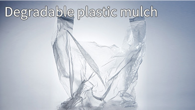 Degradable plastic bags